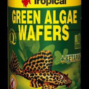 Pokarm dla ryb roślinożernych Green Algae Wafers 100ml