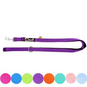 Smycz dla psa przepinana Dingo Energy 2,5cm 220cm