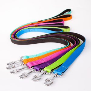 Smycz dla psa pojedyncza Dingo Energy 1,6cm 120cm