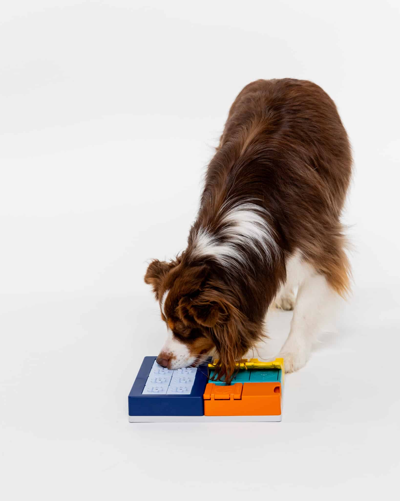 Modułowa Zabawka Edukacyjna dla Psa Pawzler Interactive Dog Puzzle Smarty Set - Image 6