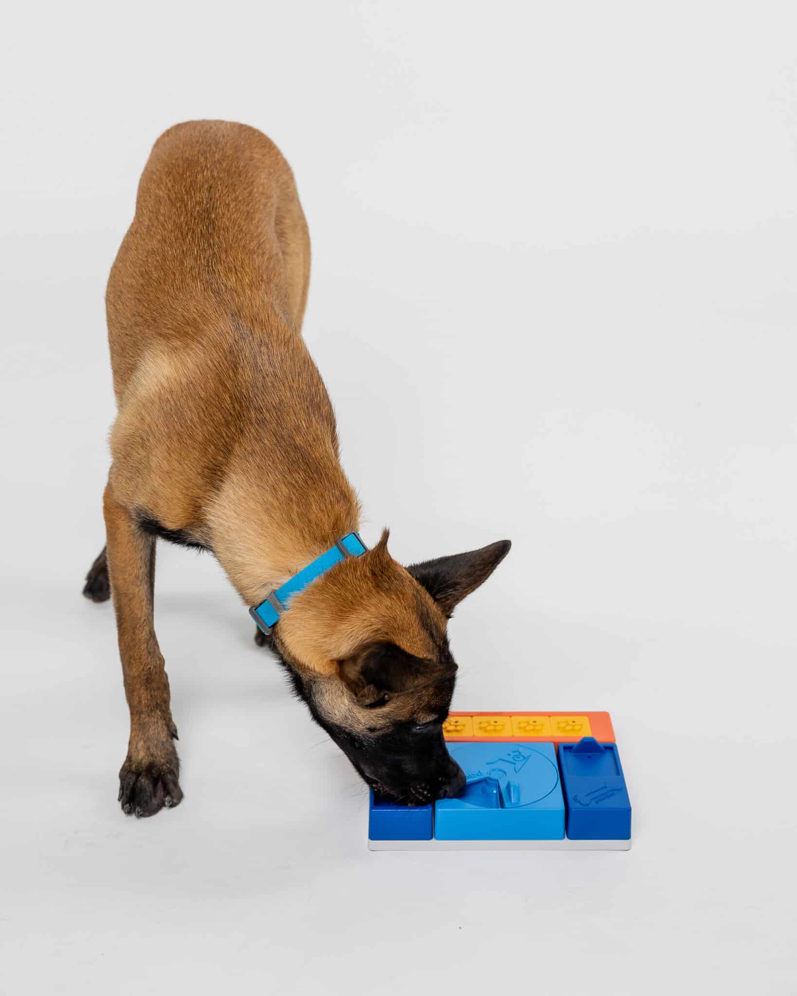 Modułowa Zabawka Edukacyjna dla Psa Pawzler Interactive Dog Puzzle Beginner Set - Image 7