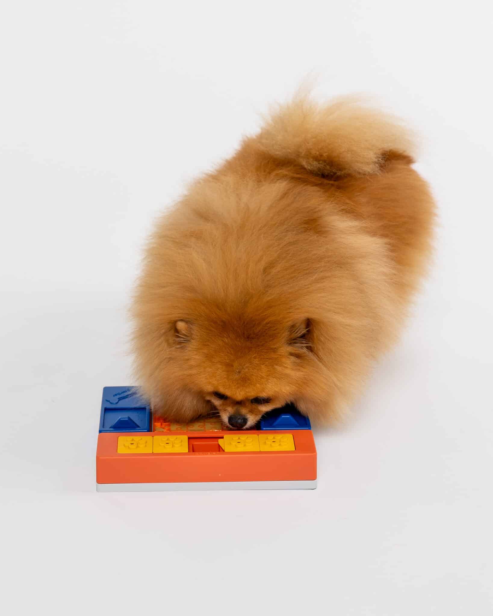 Modułowa Zabawka Edukacyjna dla Psa Pawzler Interactive Dog Puzzle Beginner Set - Image 5