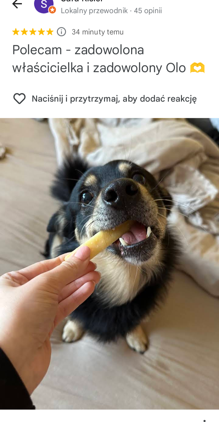 Gryzak dla psa z sera himalajskiego M – Zeezu Dog - Image 2