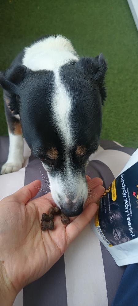 Funkcyjny Przysmak Wspomagający Kondycję Skóry i Sierści (dla psa i kota) Zeezu Dog&Cat - Image 5