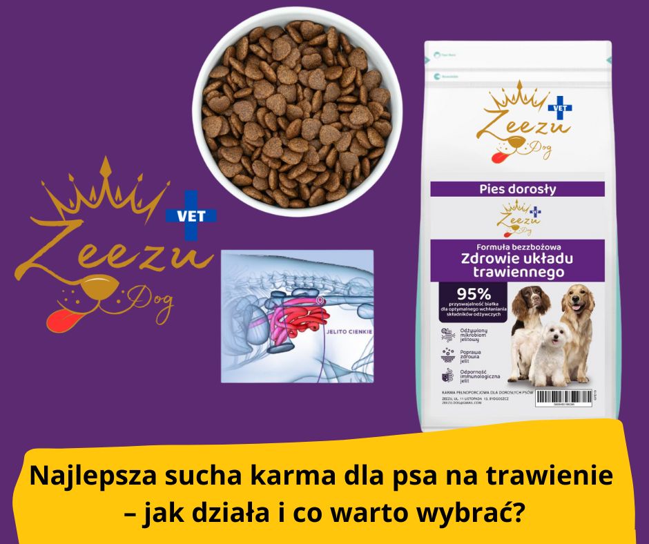blog-fika-town-gastrointestinal
