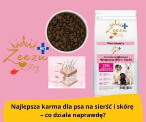 blog-fika-town-skin-and-coat