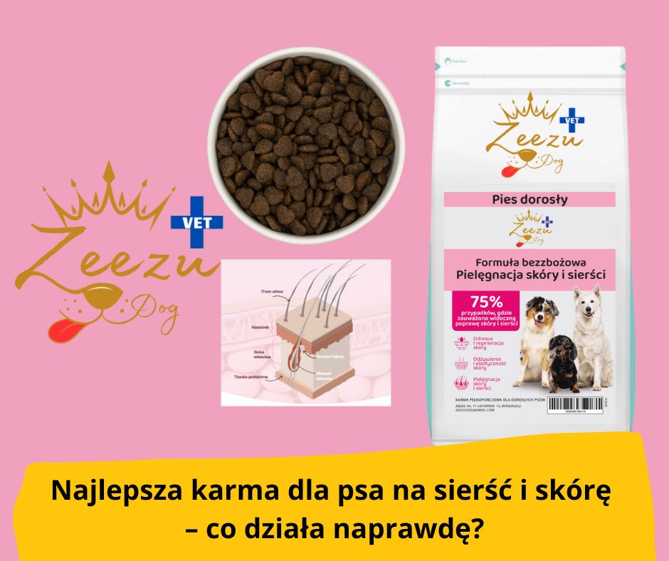 blog-fika-town-skin-and-coat