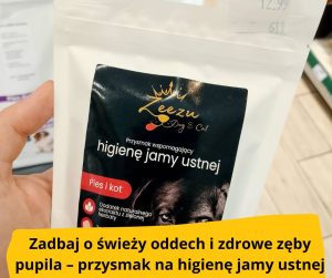 blog-fika-town-zeezu-dog-and-cat-przysmak-na-higienę-jamy-ustnej