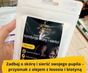 blog-fika-town-zeezu-dog-and-cat-przysmak-na-skórę-i-sierść