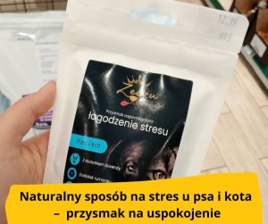 blog-fika-town-zeezu-dog-and-cat-przysmak-na-uspokojenie