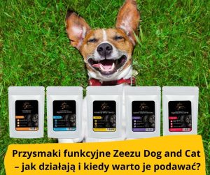 Pięć opakowań przysmaków Zeezu Dog and Cat na trawie z psem leżącym obok.