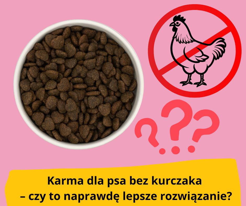 karma premium dla psa bez kurczaka