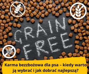 blog-fika-town-karma-bezzbożowa-dla-psa