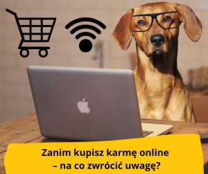 blog-fika-town-karma dla psa sklep online