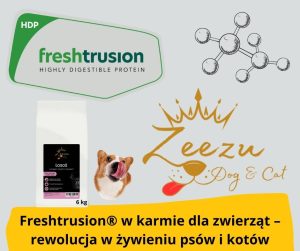 Blog Fika Town produkcja karmy freshtrusion