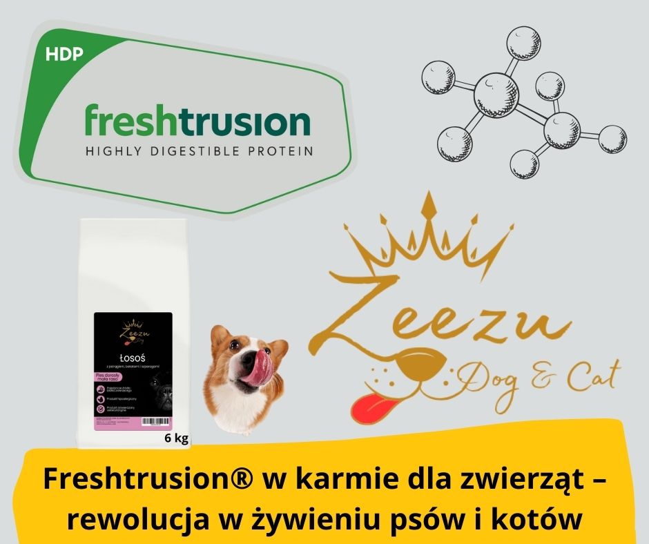 Blog Fika Town produkcja karmy freshtrusion