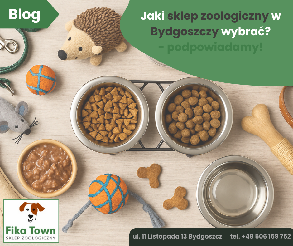 Fika Town jak wybrać sklep zoologiczny w bydgoszczy