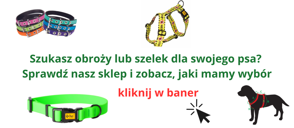 obroże i szelki baner blog