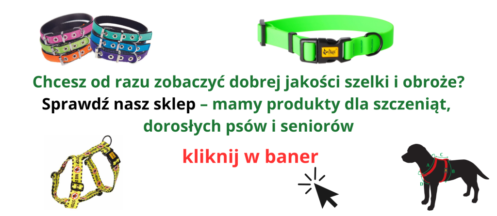 obroże i szelki baner2 blog
