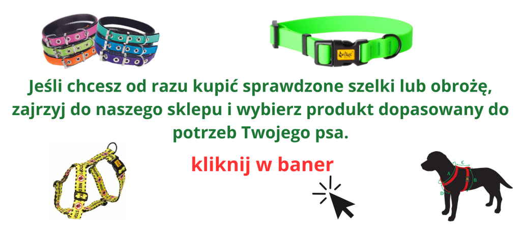 obroże i szelki baner3 blog