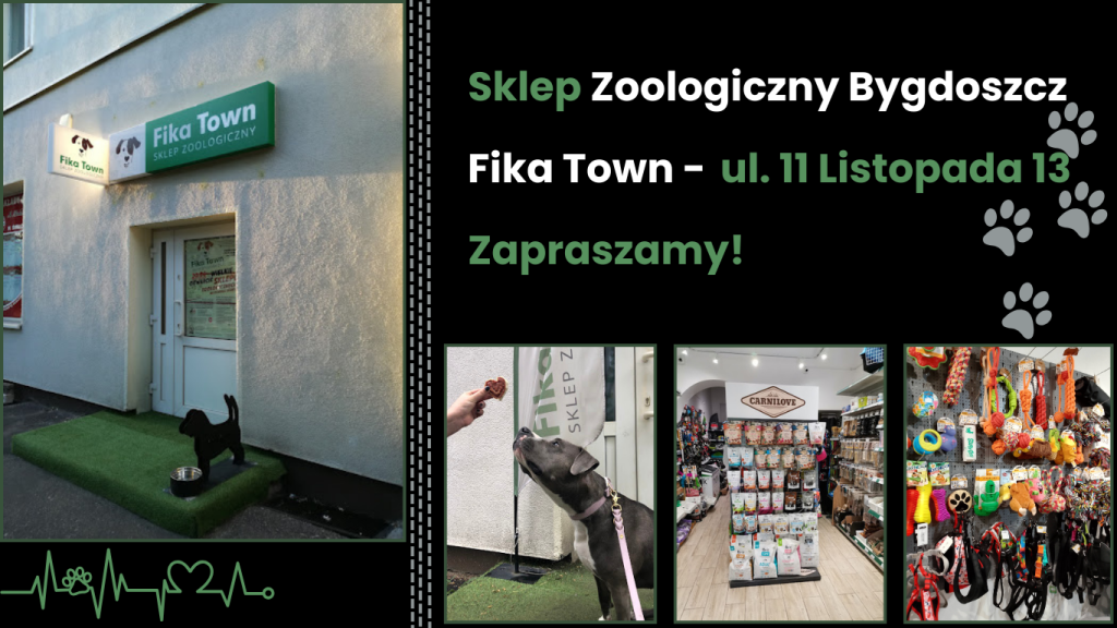 Sklep zoologiczny Fika Town w Bydgoszczy, wejście, oferta karm i akcesoriów
