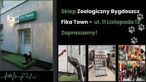 Sklep zoologiczny Fika Town w Bydgoszczy, wejście, oferta karm i akcesoriów