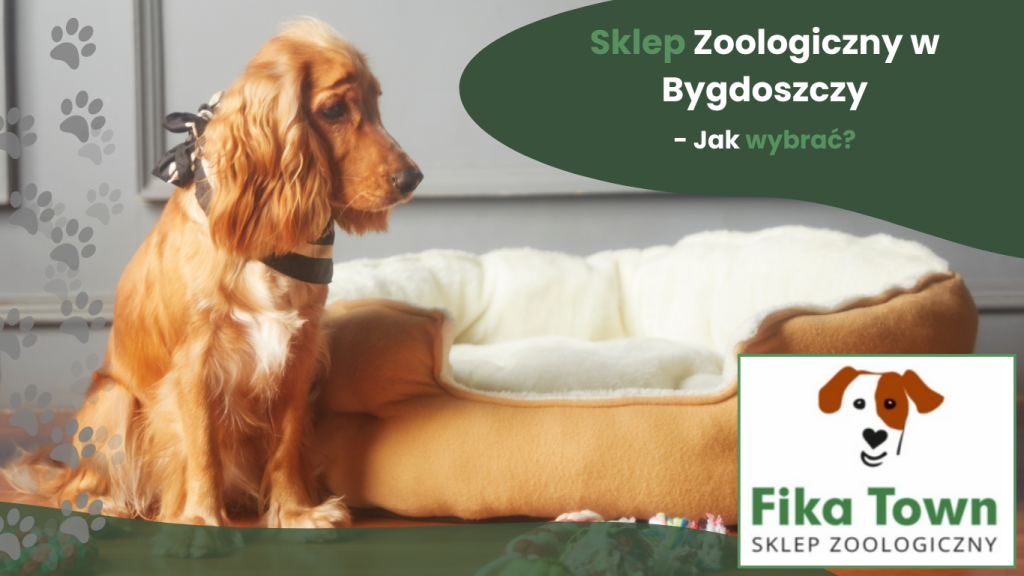 Sklep zoologiczny w Bydgoszczy - pies na legowiski Fika Town