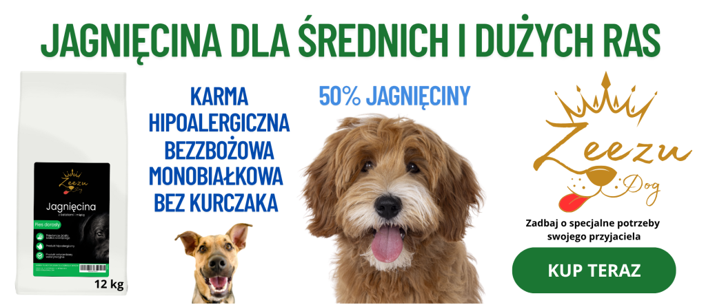 karma zeezu dog jagnięcina dla dużych ras