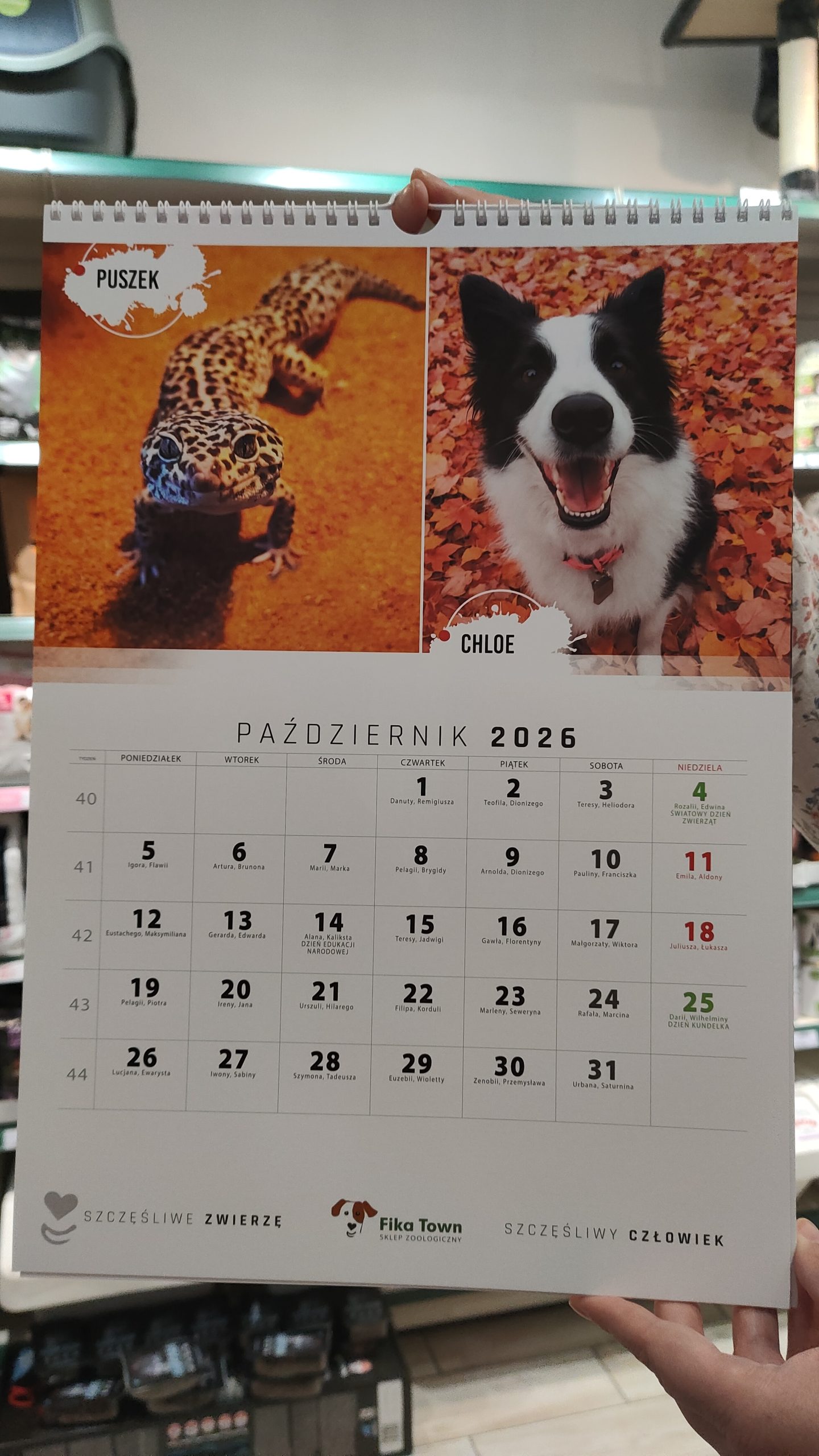 Kalendarz charytatywny FIKA TOWN na rok 2026 - październik