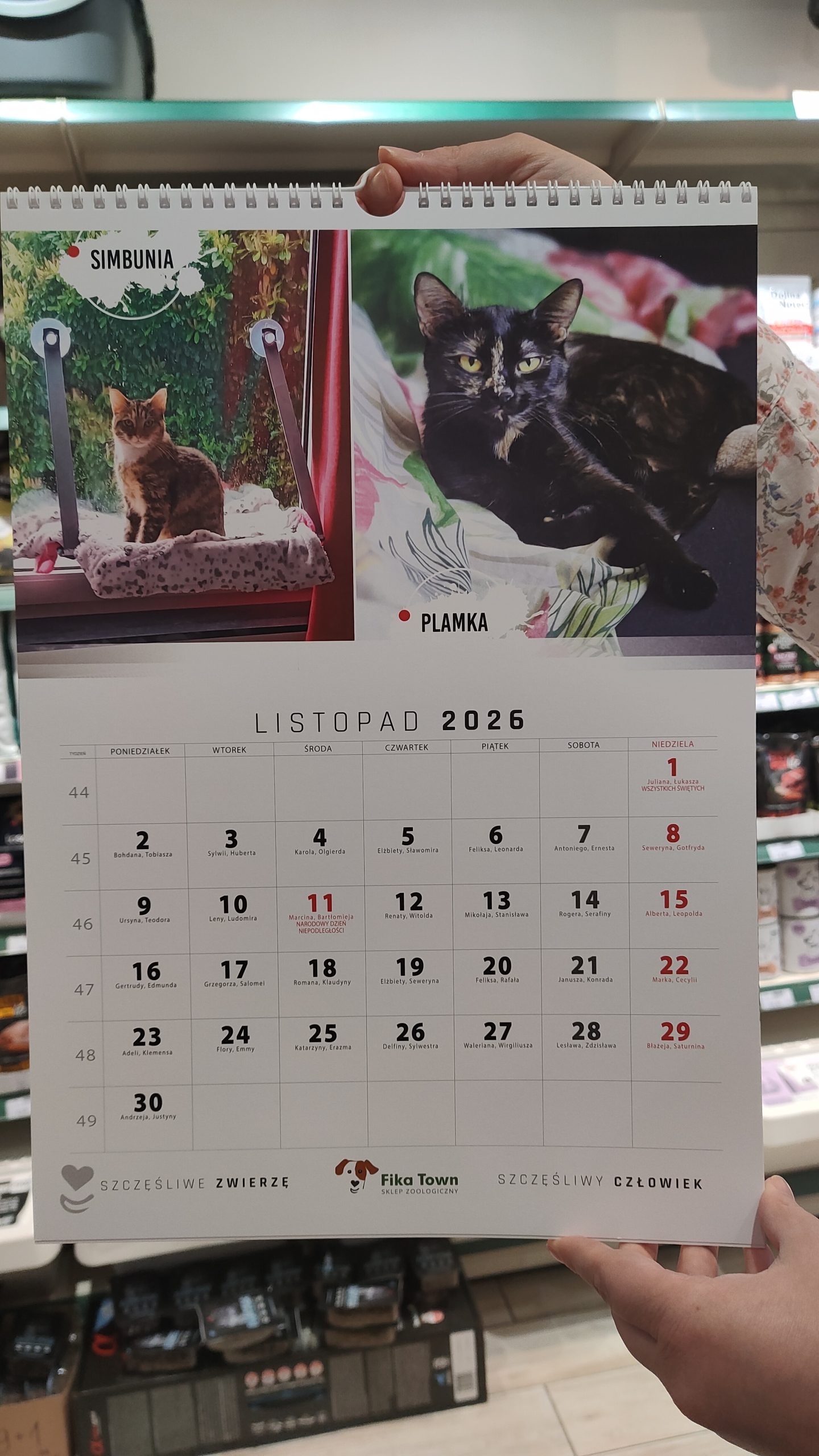 Kalendarz charytatywny FIKA TOWN na rok 2026 - listopad