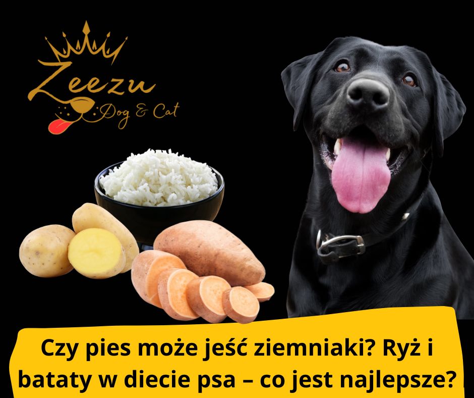 blog fika town czy pies może jeść ziemniaki