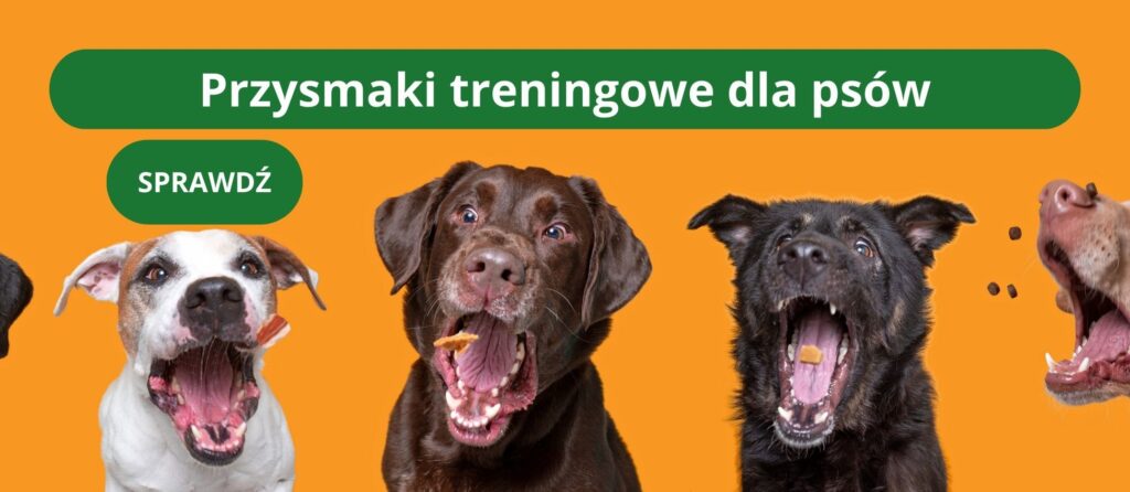przysmaki treningowe w fika town