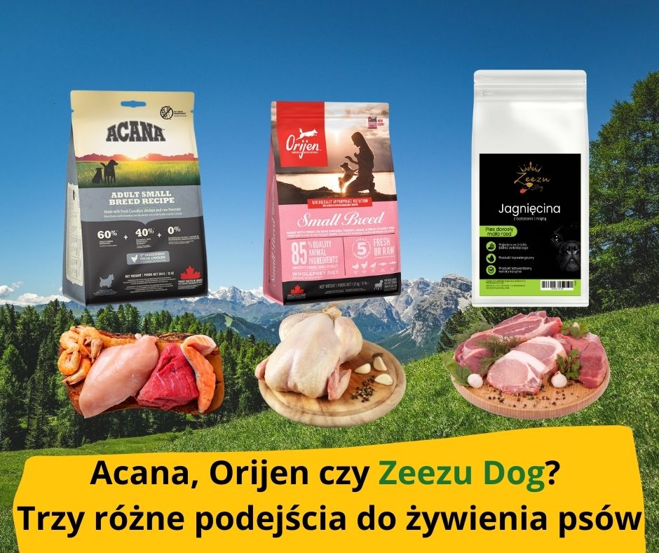 Acana, Orijen czy Zeezu Dog? Trzy różne podejścia do żywienia psów wysokiej jakości